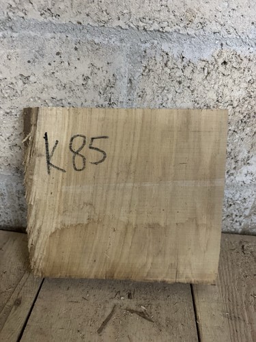 Oak hardwood timber - timber,