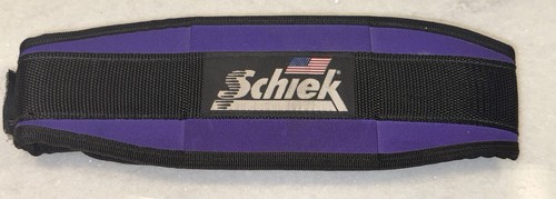 Schiek weight lifting - lifting,