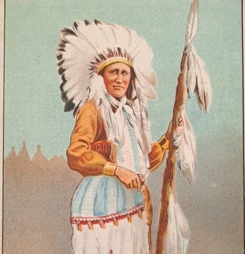 Native american indian - indian, buffalo
