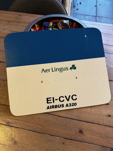 Airbus aer lingus a320 skin - airbus,
