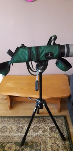 Swarovski spotting scope - swarovski,
