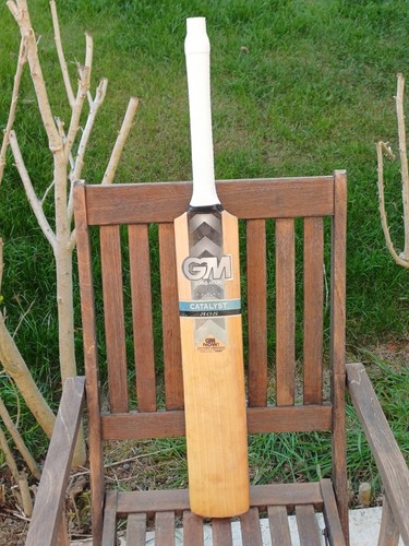 2009 gunn moore catalyst - 2009, 808
