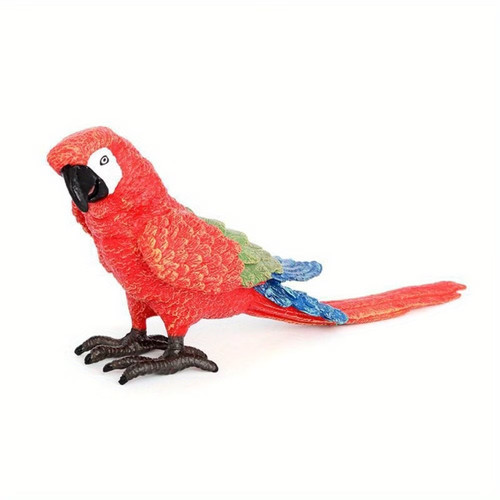 Macaw parrot red - parrot,