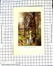 Original Old Vintage Print