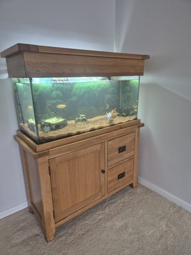 Aqua oak fish - oak,
