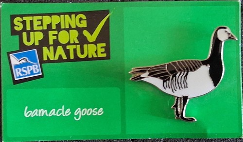 Rspb pin badge barnacle goose - badge,