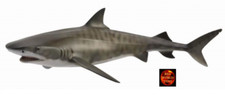 Tiger Shark Sealife Toy Model