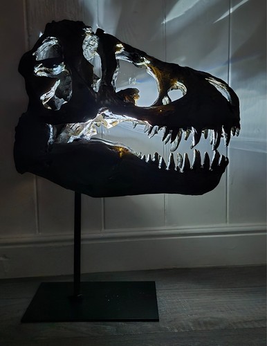 Jurassic park style rex - t,