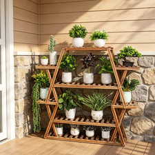 Large pine wood - wood, stand