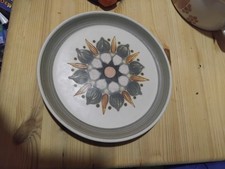 Denby Langley Sherwood Retro