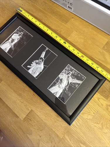 Freddie mercury framed - mercury,