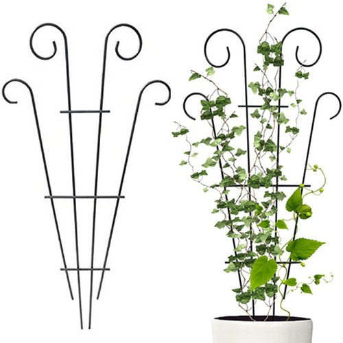 Stakes plant climbing support - stakes,