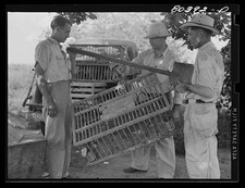 Coffee County Alabama 1941 FSA
