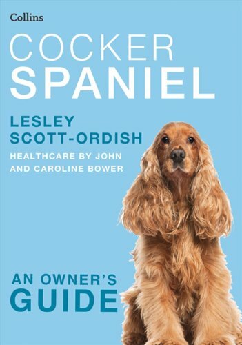 Cker spaniel collins - spaniel, dog