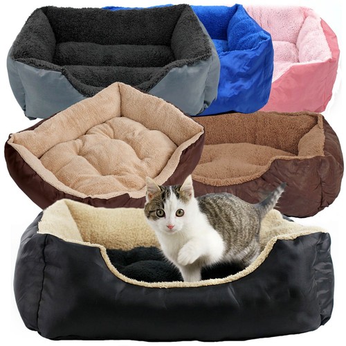 Cat kitten bed pet small - bed,