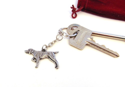 German shorthaired pointer - shorthaired,