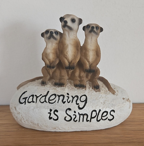 Meerkat resin garden statue - resin,