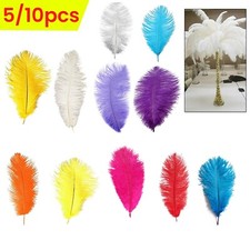 5-10pcs Large Ostrich Feathers