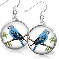 Blue Parakeet Budgie Bird Pet