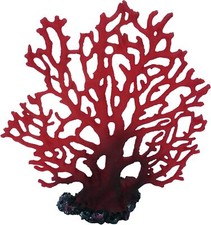 Red Fan Marine Coral