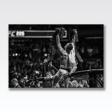 CONOR MCGREGOR CANVAS UFC 205 Poster Wall Art 30" x 20" CANVAS