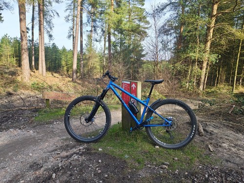 Ragley blue pig steel - blue, mtb