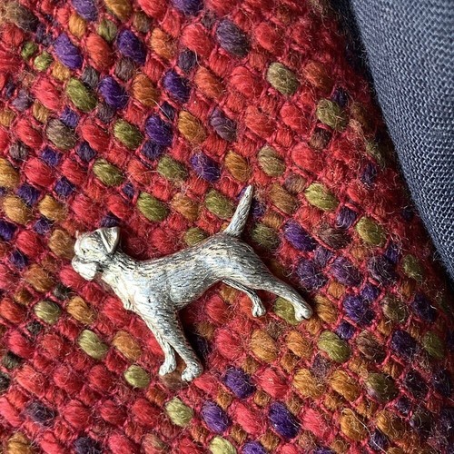 Border terrier silver pewter - silver,