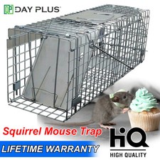 Rabbits,Squirrels,Mink,Rat,Ver