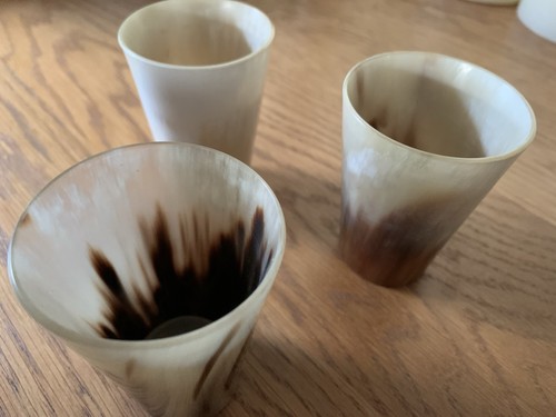 Unique cow horn - 3,