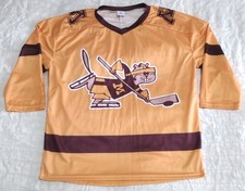 VINTAGE LOGO MINNESOTA GOLDEN
