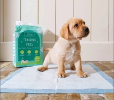 Training Pads For Dogs