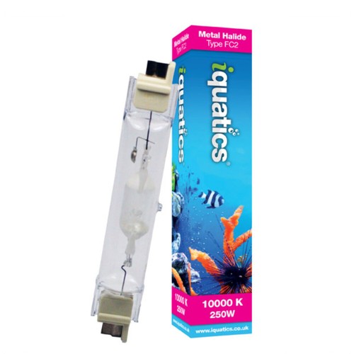 10000k 10k 250w aquarium - -,