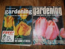 Practical Gardening magazines: (2) 1965 May, 1970 July. Good condition. Flowers.