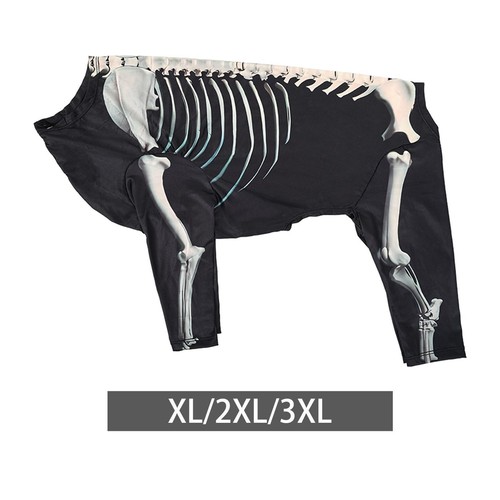 Halloween skeleton dog