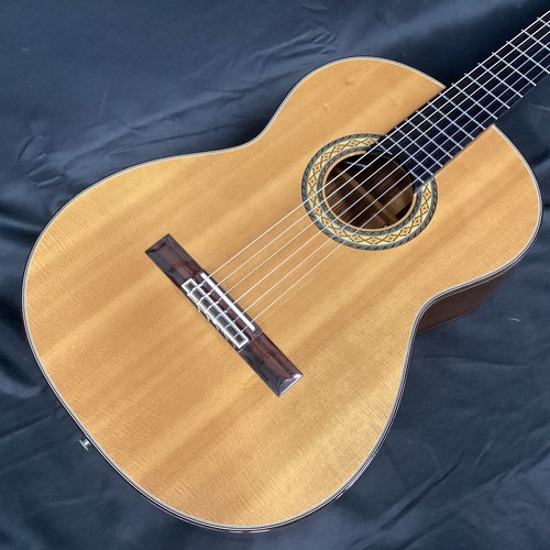 Takamine 310 electric - pt-310,