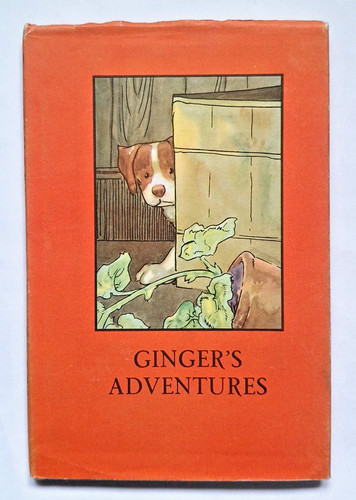 Ladybird ginger adventures - ladybird,