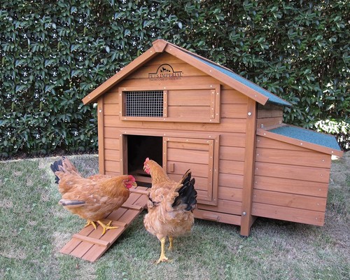 Savoy single chicken coop - 🐔,