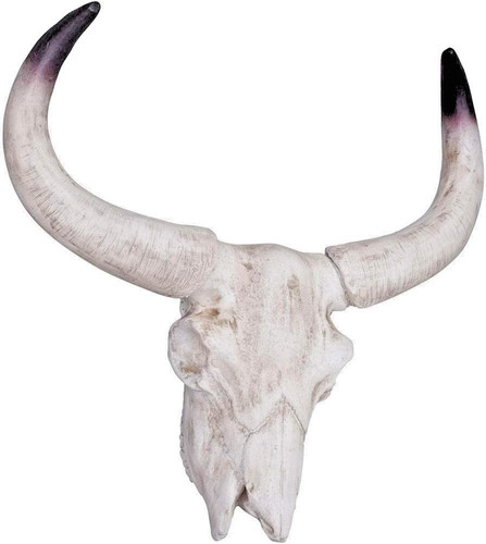 Western animal skull bull head - bull,