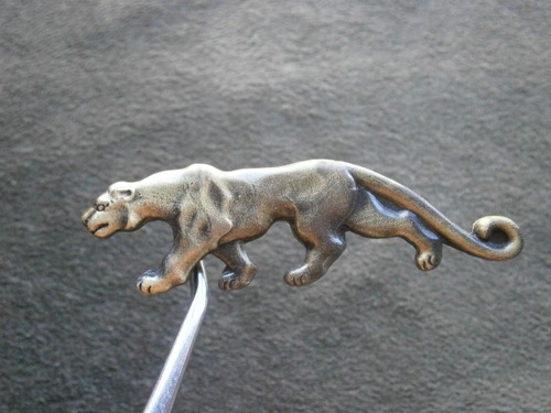 Large prowling panther jaguar - prowling,