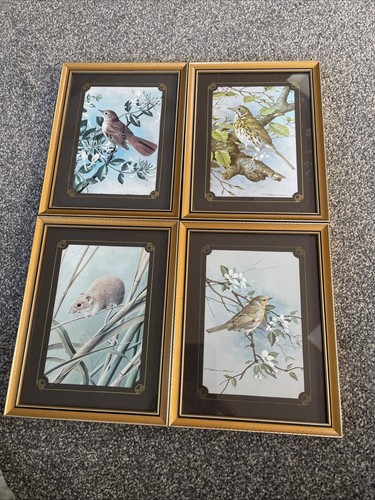Set vintage wildlife - of,