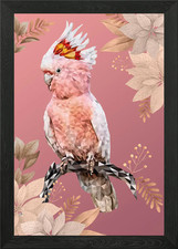 Pink cockatoo Framed Wall Art