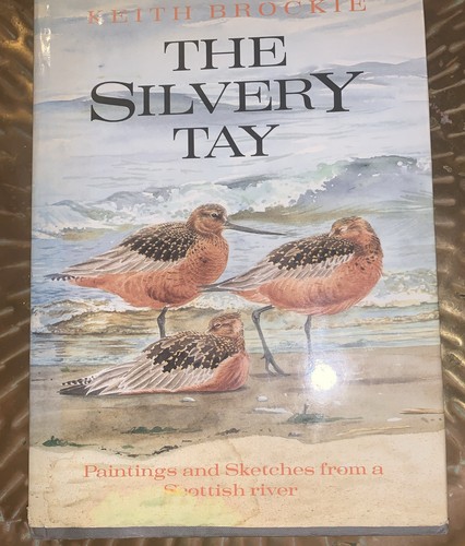 The silvery tay hardback - silvery,