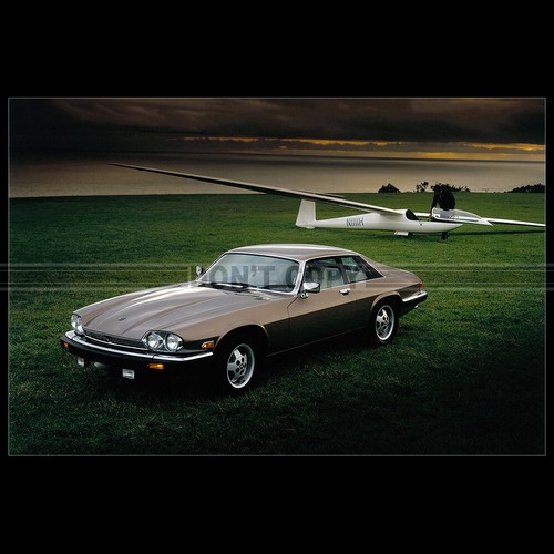 Photo 003430 jaguar s - jaguar, xj-s