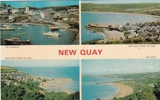 ⛱️ NEW QUAY / CEI NEWYDD