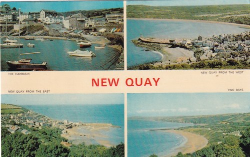 New quay cei - quay, newydd