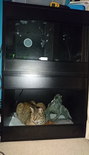 Used 2ft black vivarium - used,