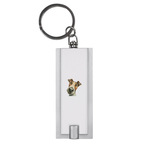 Fox terrier dog portrait - terrier, led