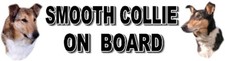 SMOOTH COLLIE ON BOARD Car