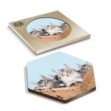 1 x Hexagon Coaster - Cute