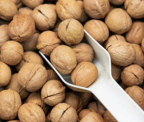 Premium whole shell walnuts - in-shell,